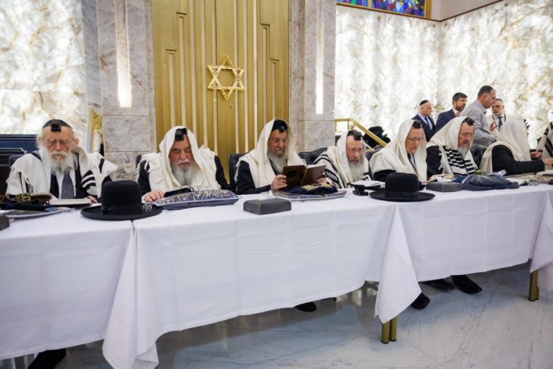 דניאל נפוסי ומאיר זלזניק