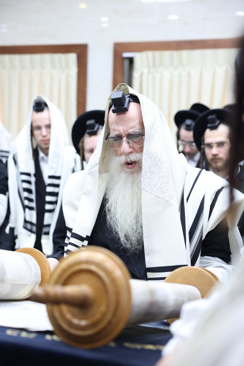 א. אייזנבאך