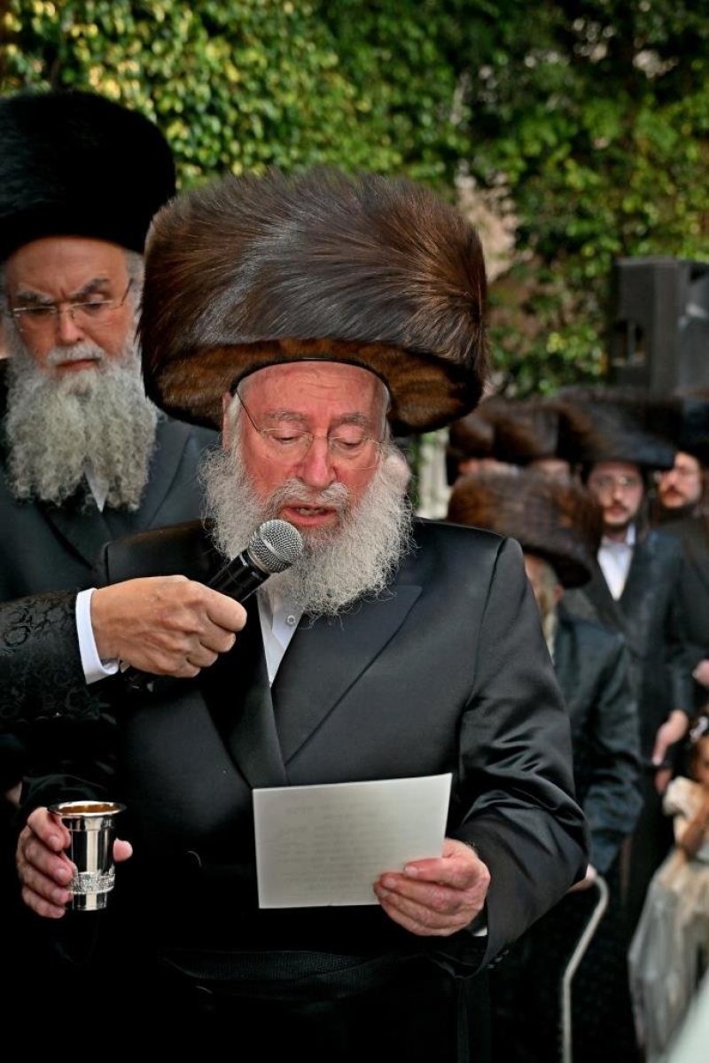 יהושע פרוכטר