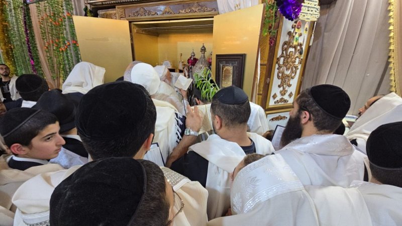 שלומי טריכטר ומ.פ