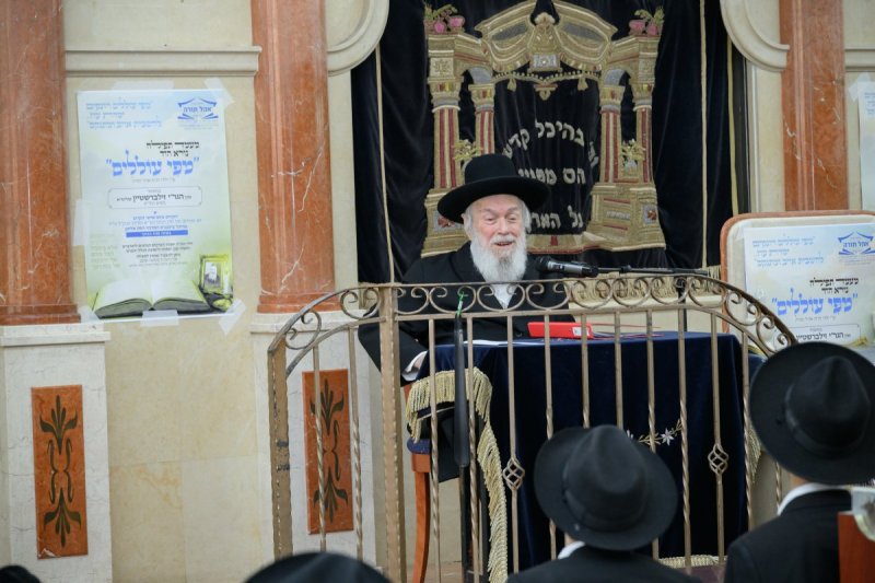מנדי רוט