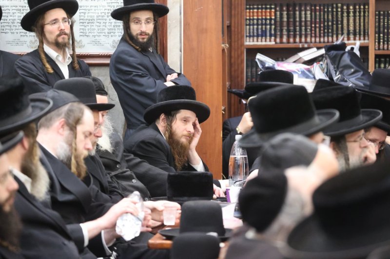 שלומי טריכטר