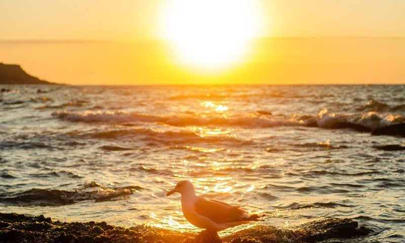 התחזית לסופ"ש: סופות חול בדרום וגשמים מקומיים בצפון ובמרכז