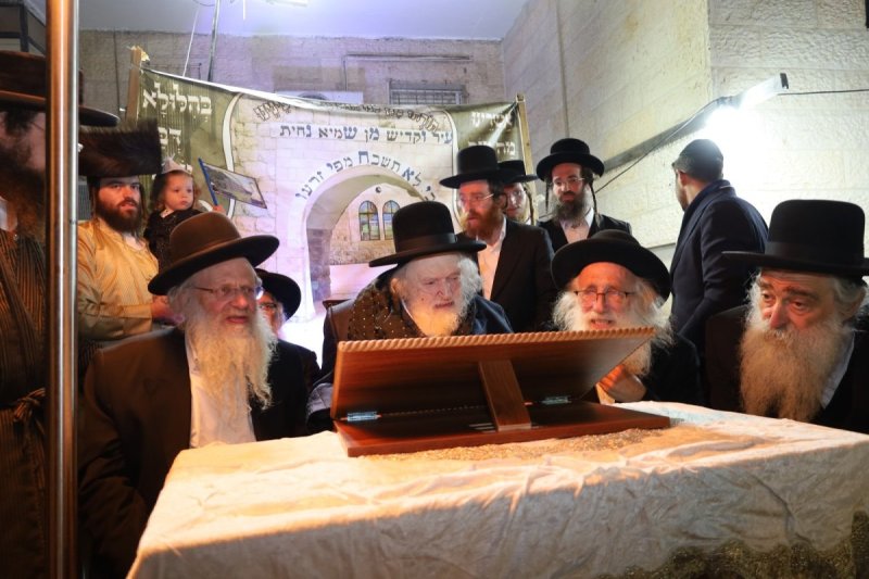 שוקי לרר