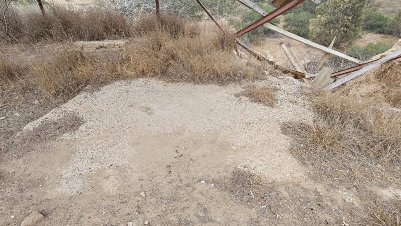 אלה טל חיוט רשות הטבע והגנים