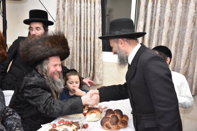 יהודה פרקוביץ