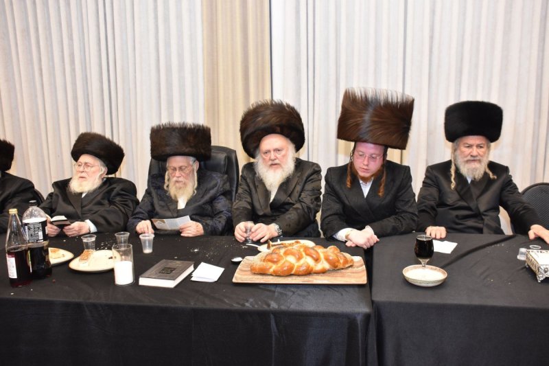 יהודה פרקוביץ