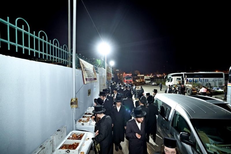 יהושע פרוכטר