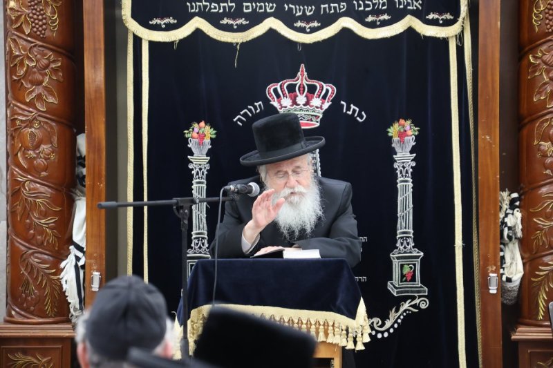 שלומי טריכטר