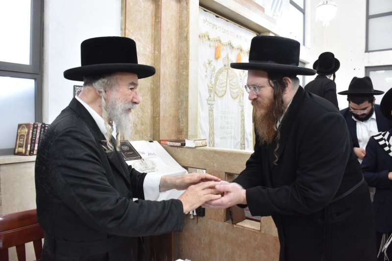 יהודה פרקוביץ