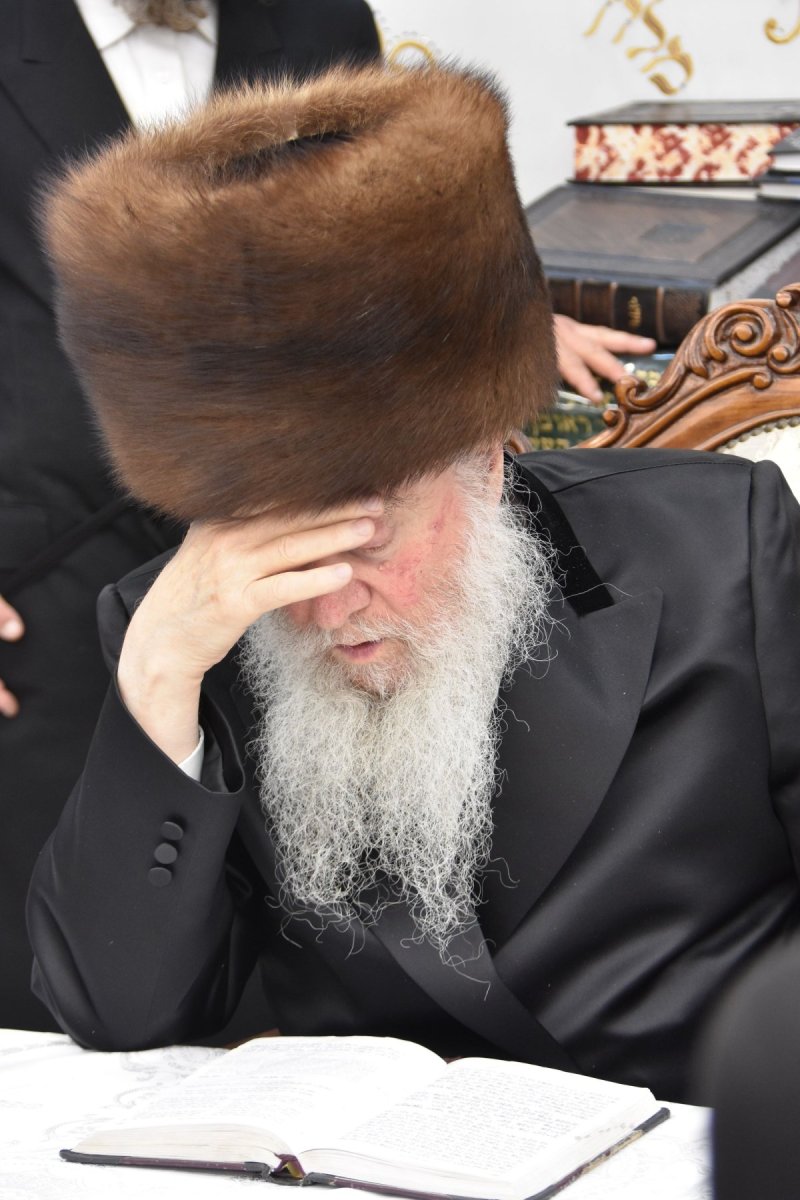 יהודה פרקוביץ