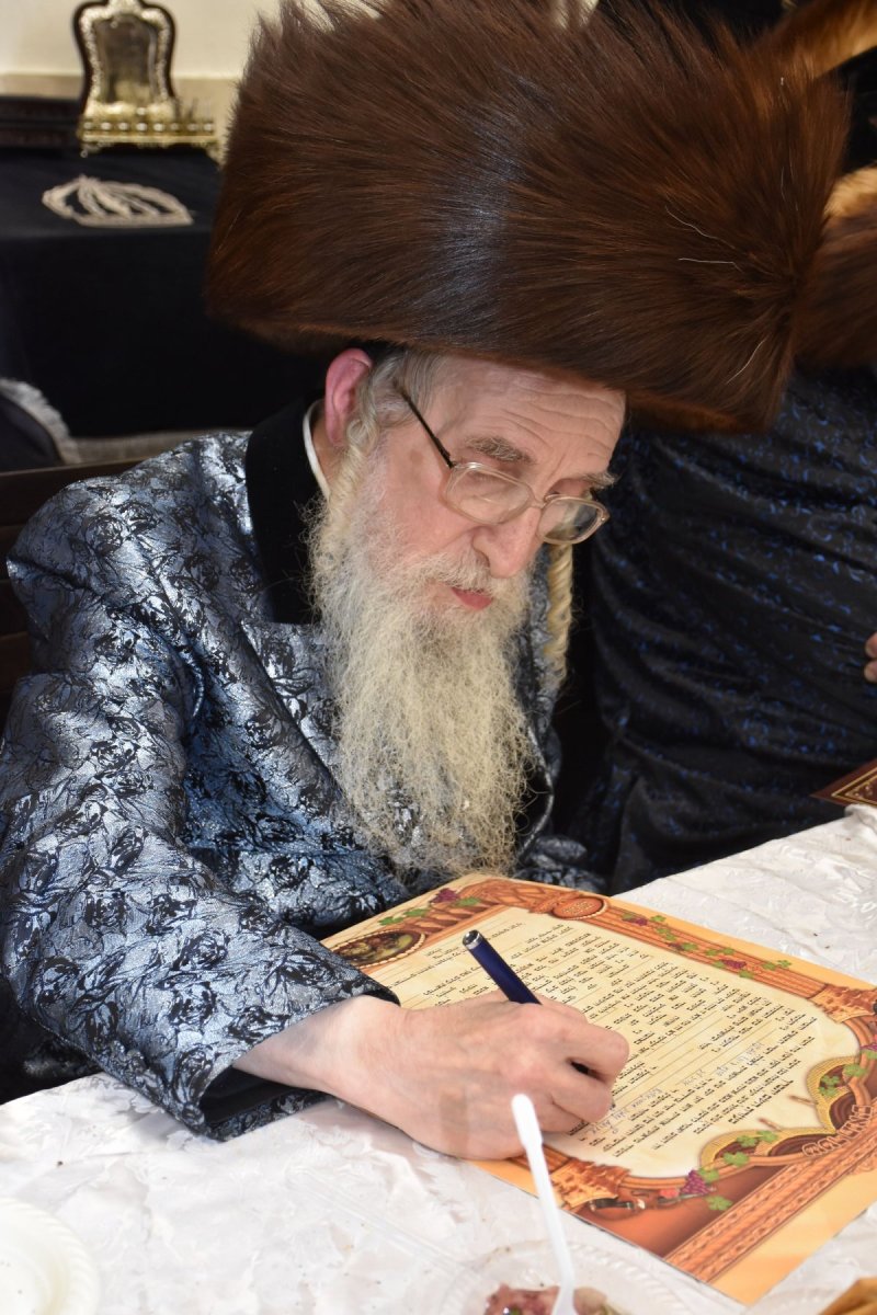 יהודה פרקוביץ