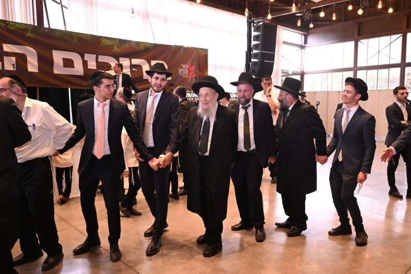 ליפא מוזר