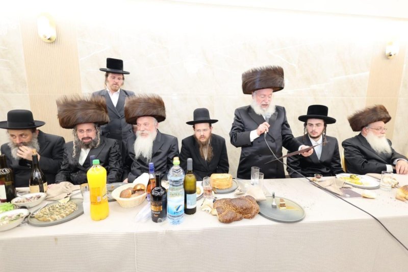 שלומי טריכטר