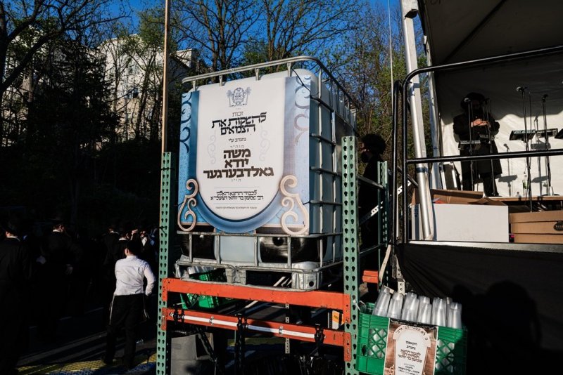 י. שטיין, שלום קליין ושלום שוורץ