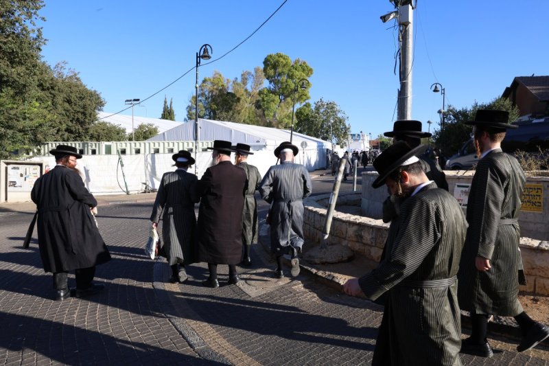 דוד כהן