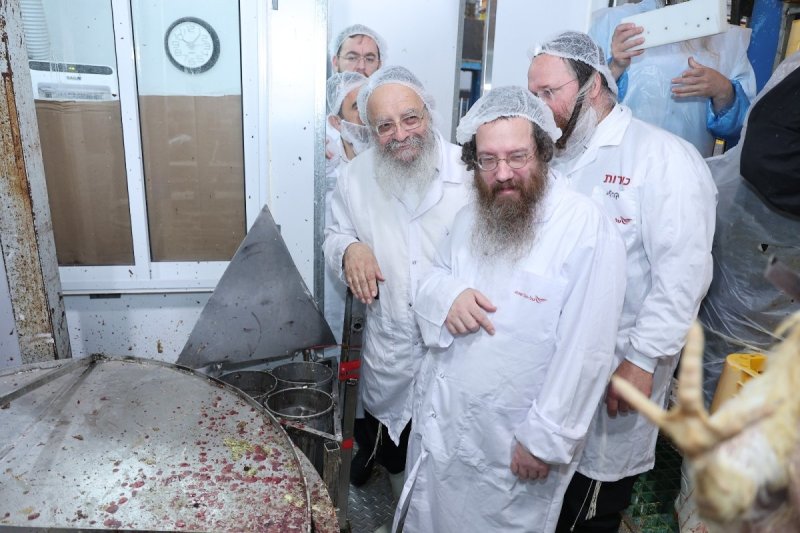 באדיבות המצלם