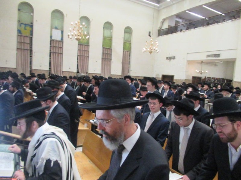 באדיבות המצלם