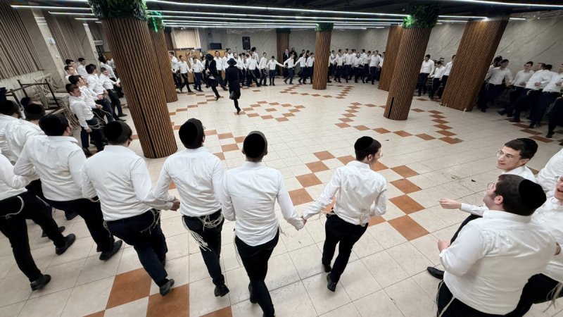 אלעזר פיינשטיין