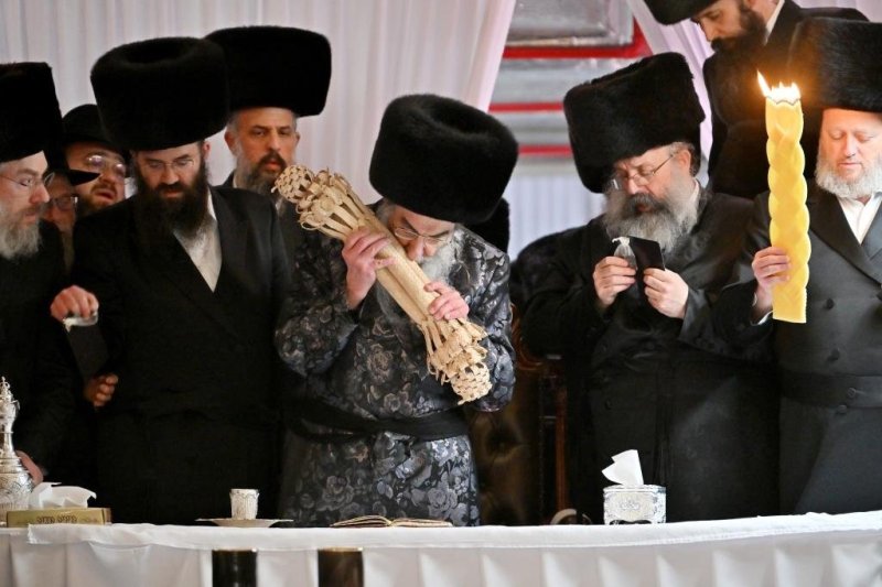 יהושע פרוכטר