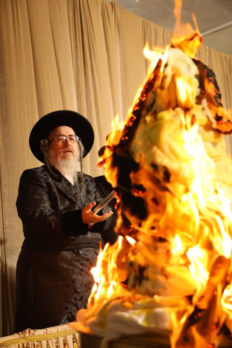 נתי אמרגי
