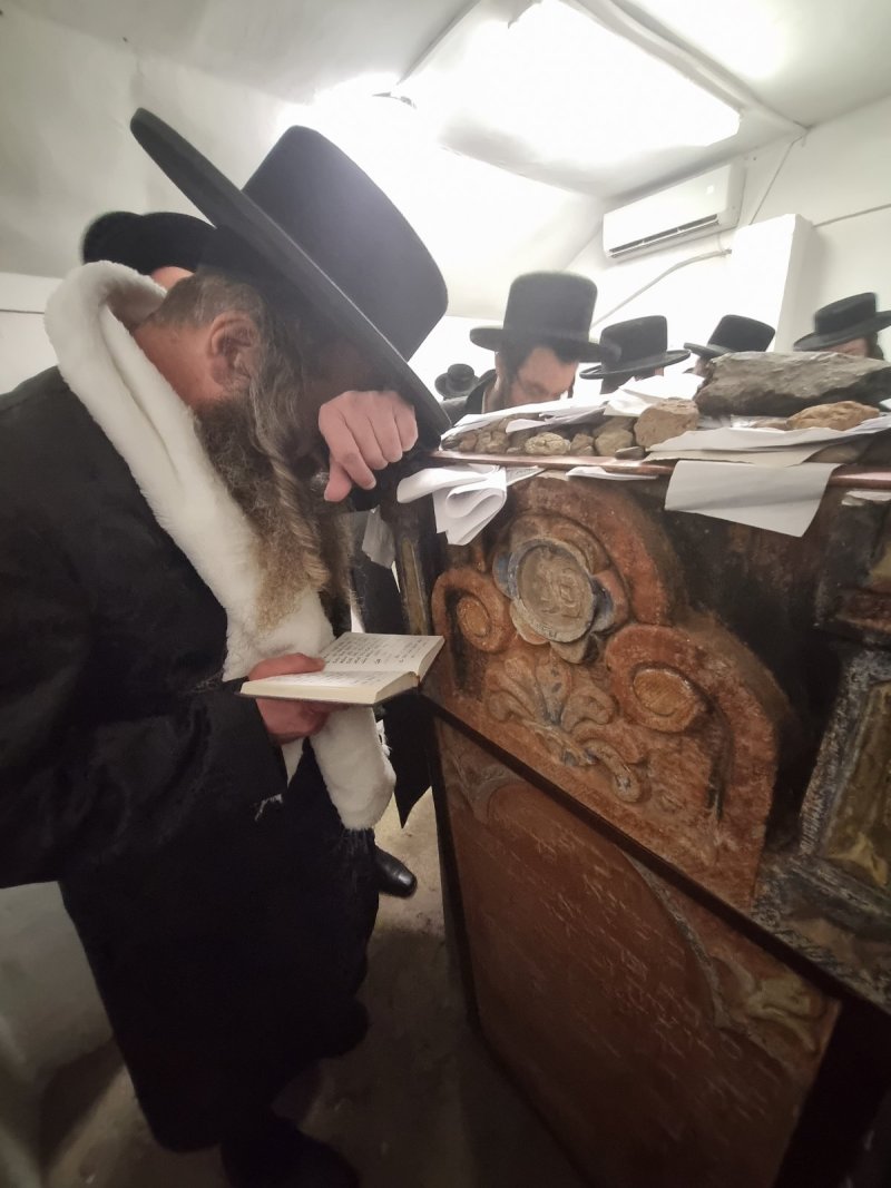 באדיבות המצלם