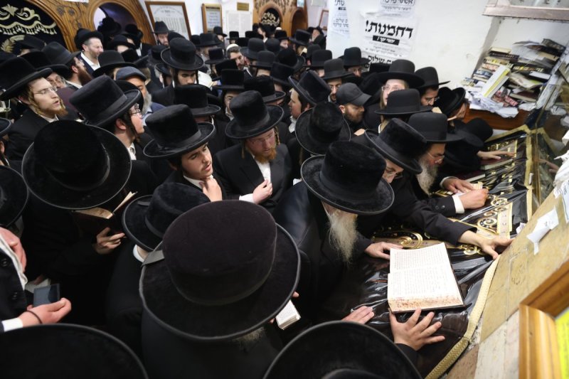 דוד כהן