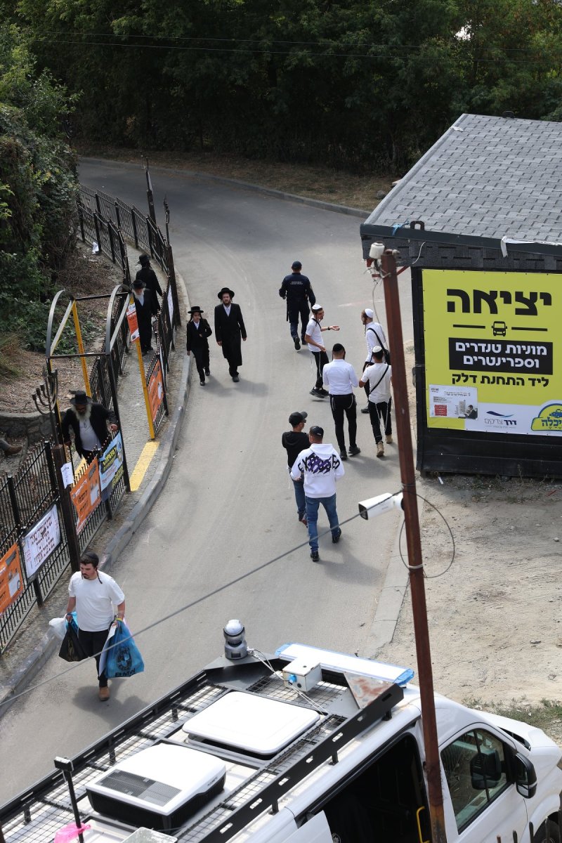 יהודה וויס