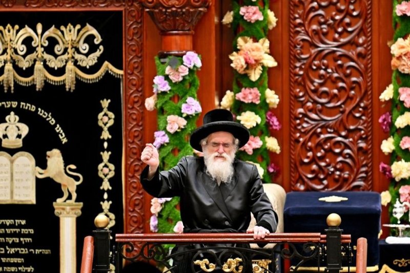 יהושע פרוכטר