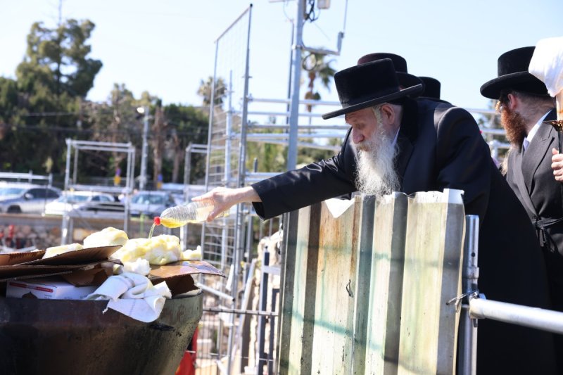 דוד כהן