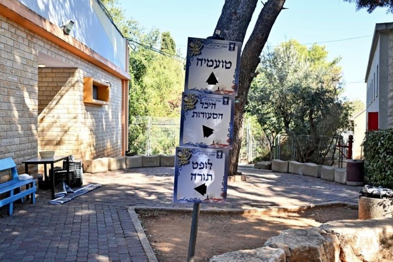 יהושע פרוכטר