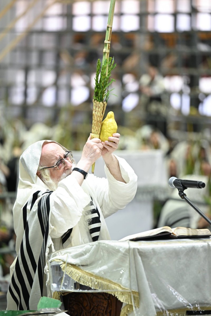 משה גולדשטיין