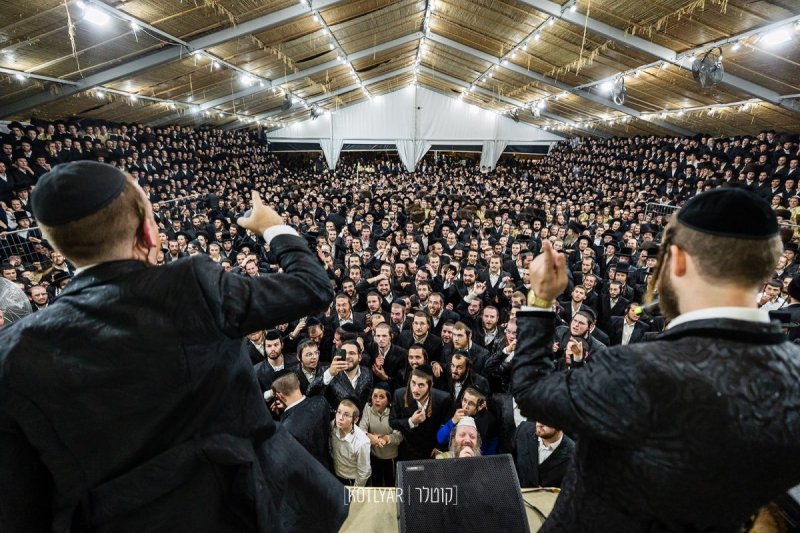 מענדי קוטלר