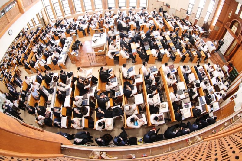 שלומי טריכטר