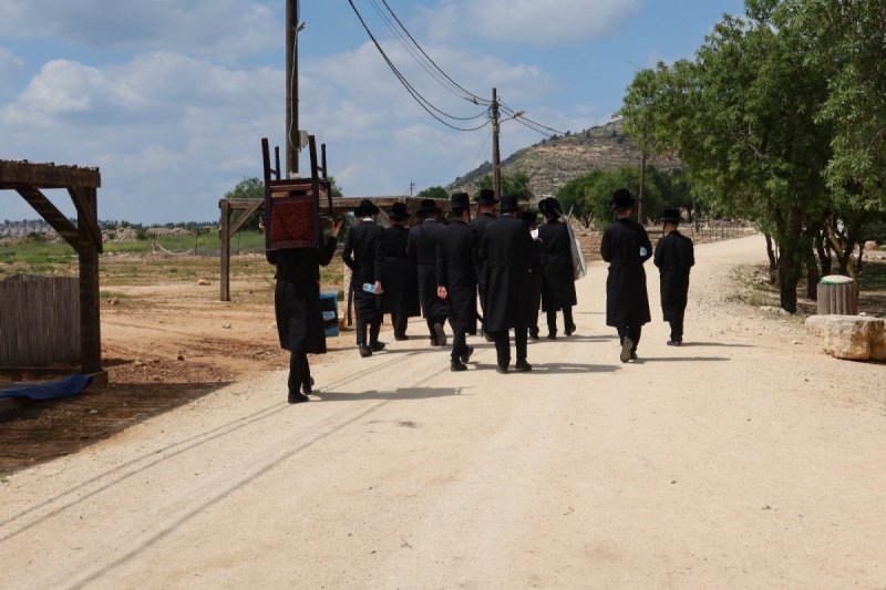 אלקנה קליין