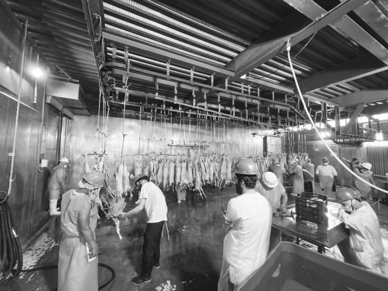 בית חב"ד פרו