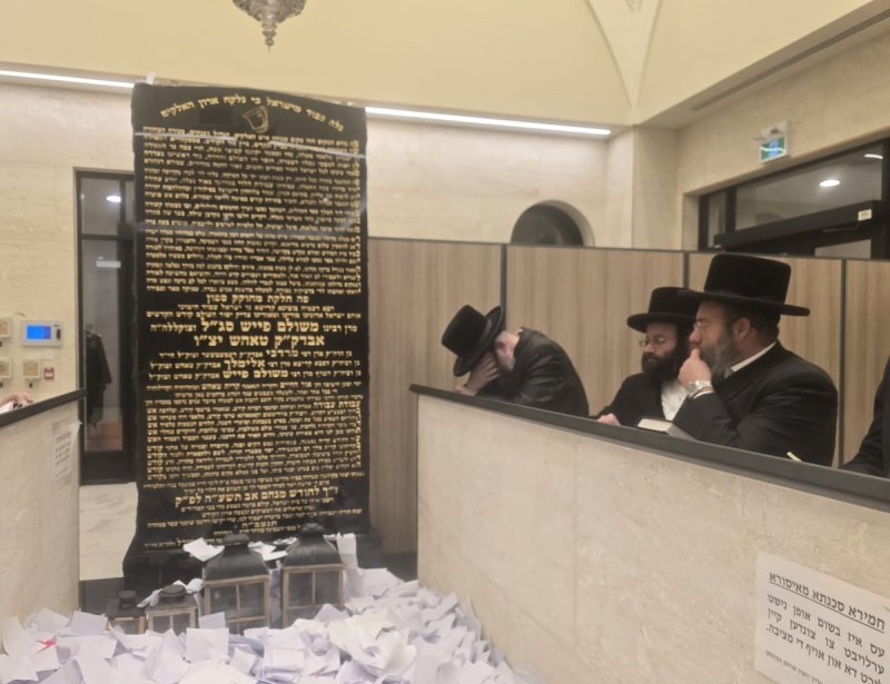 באדיבות המצלם