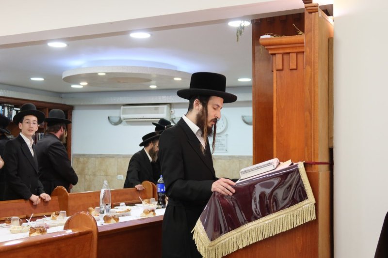 א. שטול