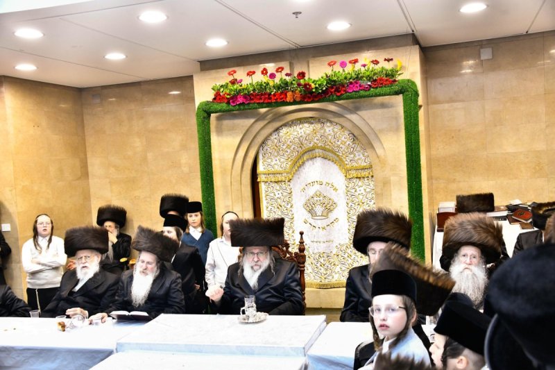 שוקי לרר