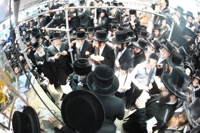 אנשיל בעק וא.מ.ש