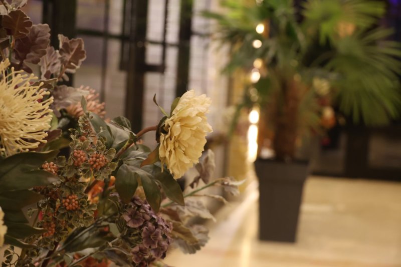  מרדכי לובעצקי