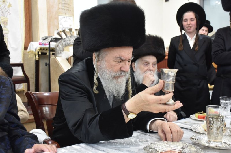 יהודה פרקוביץ