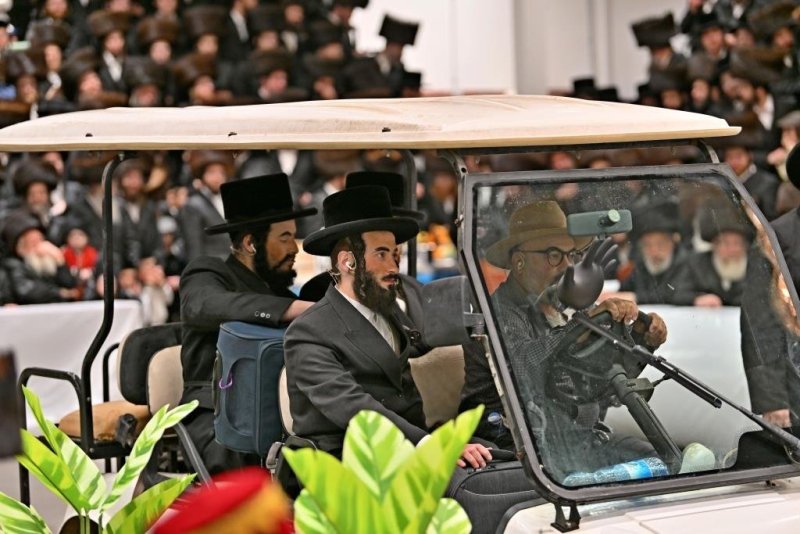 יהושע פרוכטר