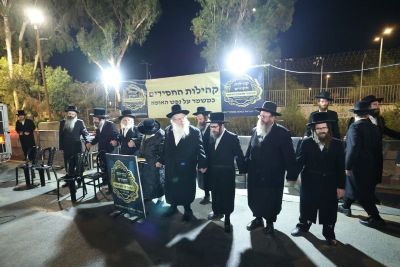 קובי הר צבי