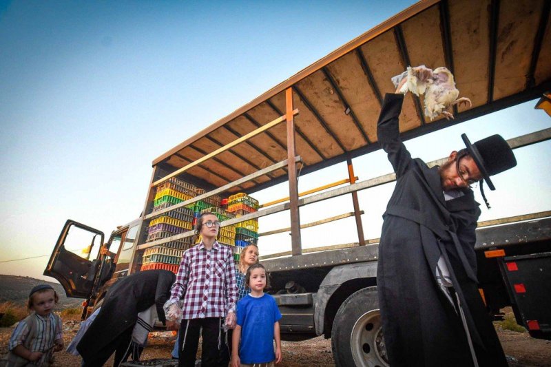 ארי קופרשטוק