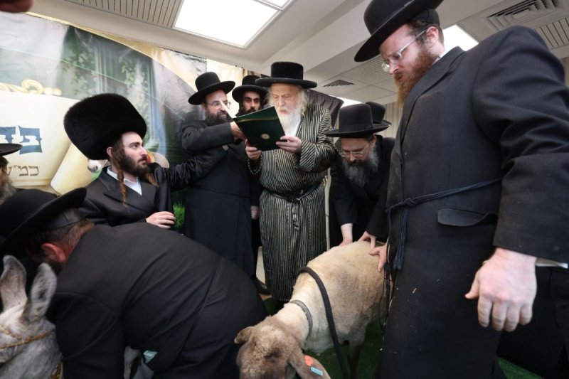 באדיבות המצלם