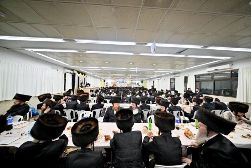 יהושע פרוכטר