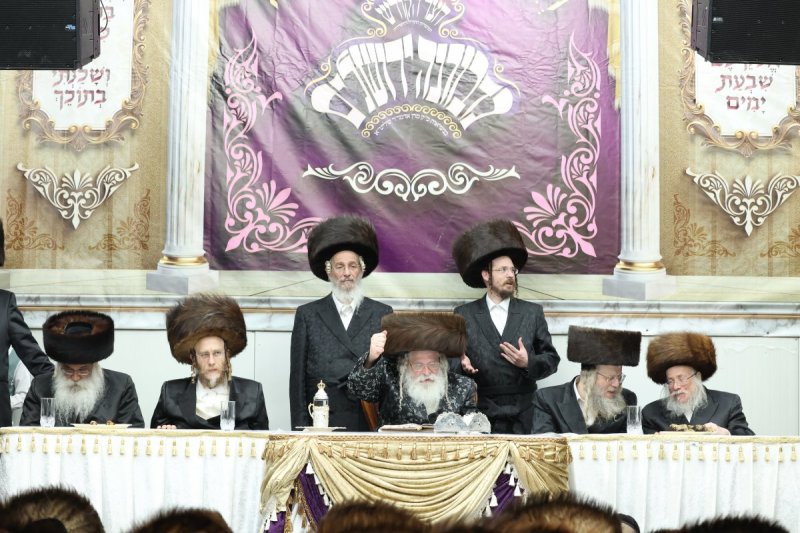 דוד ארזני וארי קופרשטוק