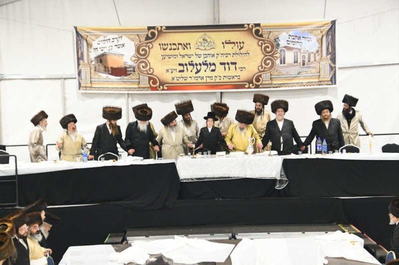 ארי קופרשטוק