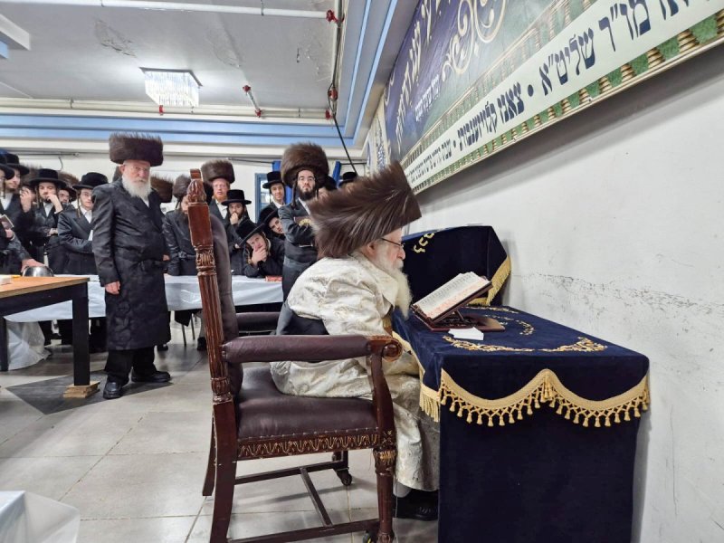 שוקי לרר